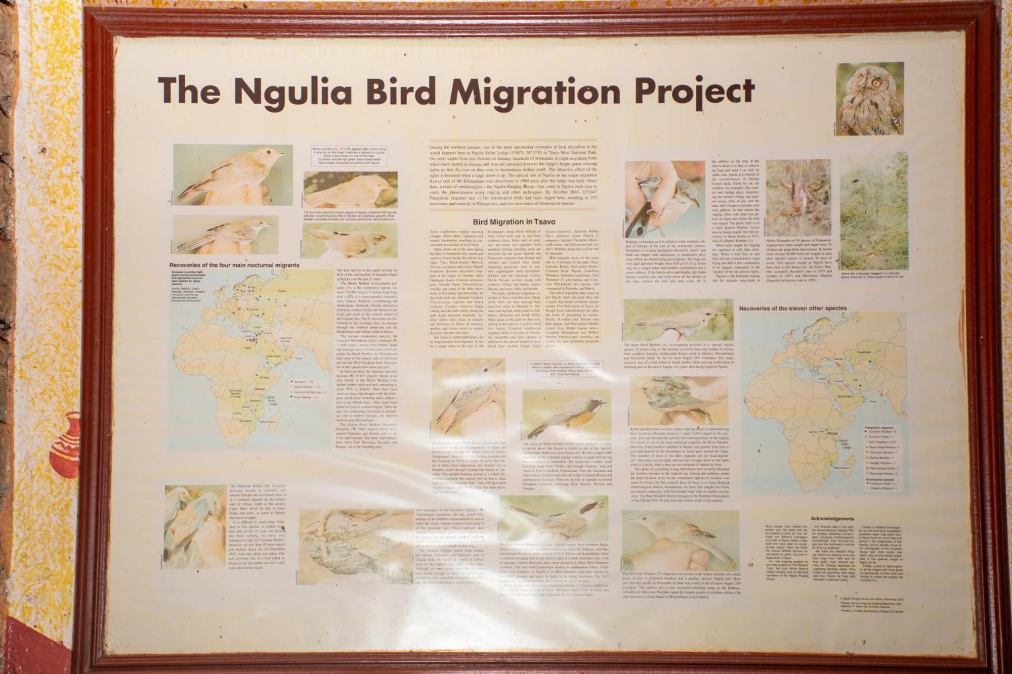 Ngulia Safari Lodge Ithumba Kültér fotó