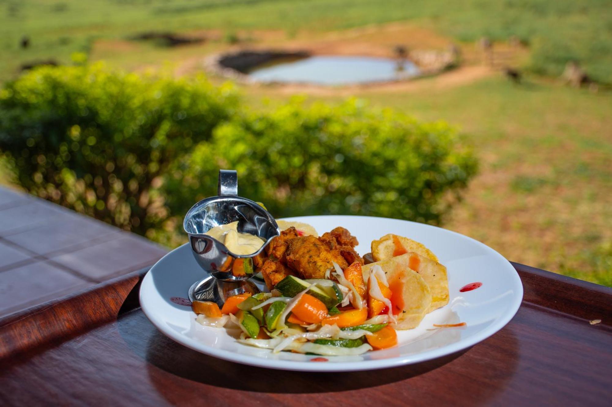 Ngulia Safari Lodge Ithumba Kültér fotó