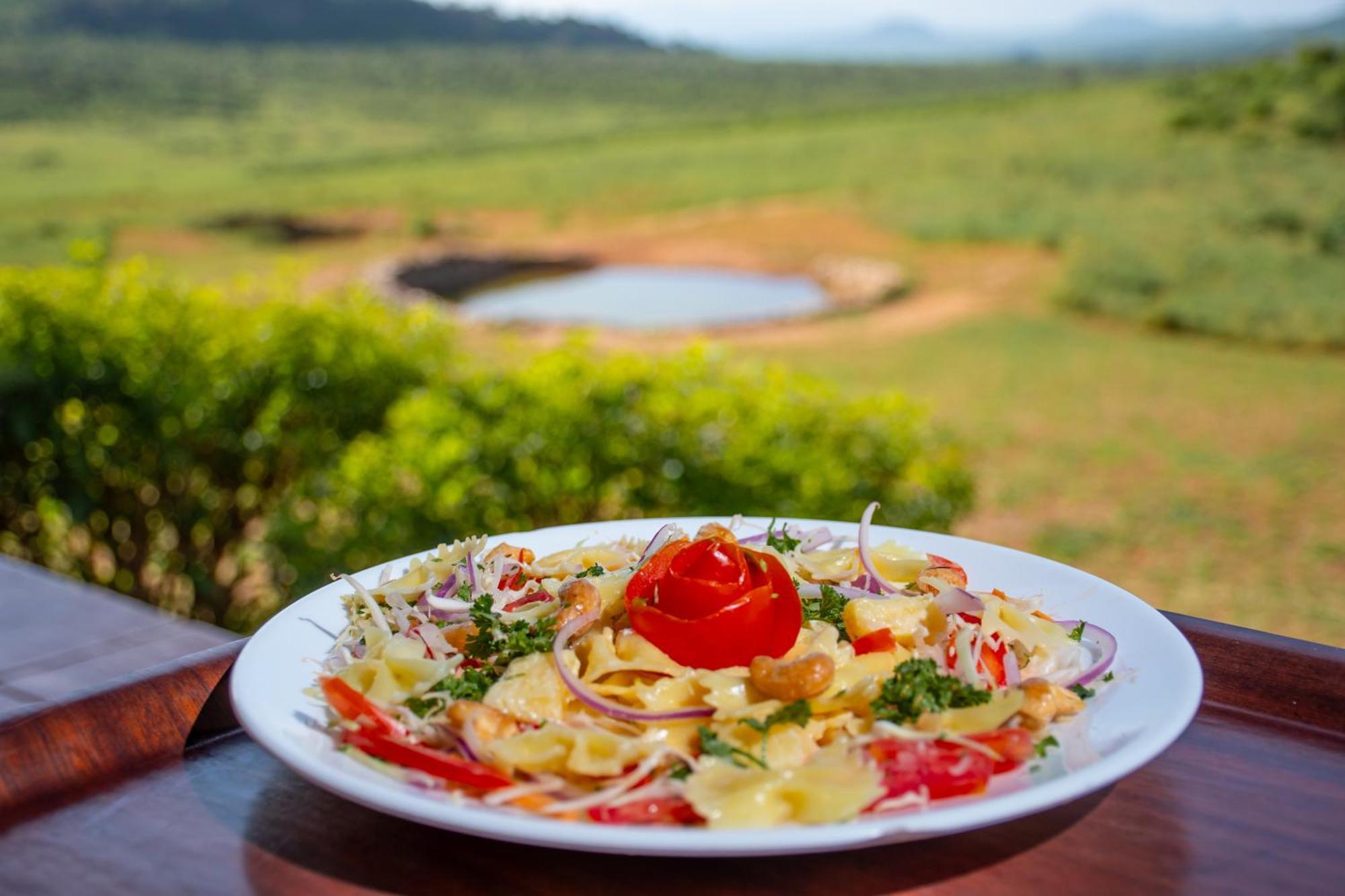 Ngulia Safari Lodge Ithumba Kültér fotó